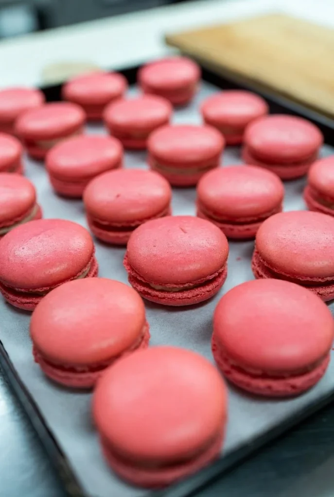 basic macaron 2026 05 02 214337 687x1024 1